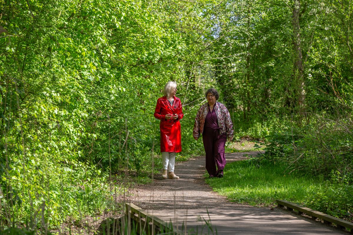Wandelcoaching over een bruggetje